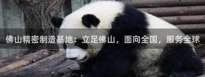 彩神旗下有哪些平台可以玩：佛山精密制造基地：立足佛山，面向全国，服务全球