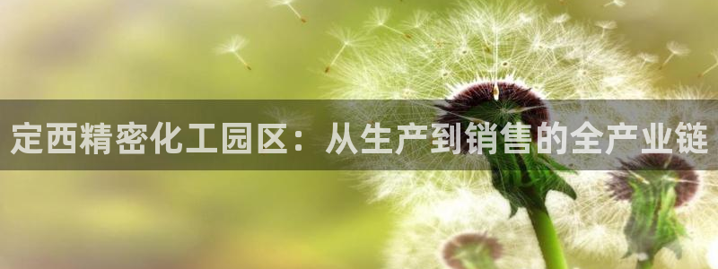 彩神ix能赚钱吗：定西精密化工园区：从生产到销售的全产业链