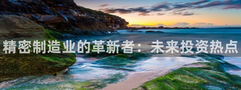 彩神趣购彩用户注册：精密制造业的革新者：未来投资热点