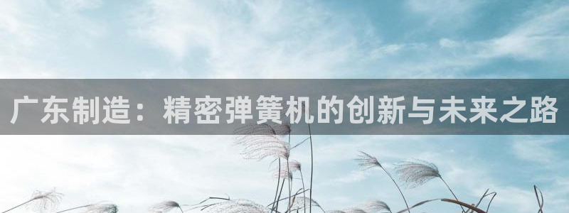 彩神怎么才能赢：广东制造：精密弹簧机的创新与未来之路