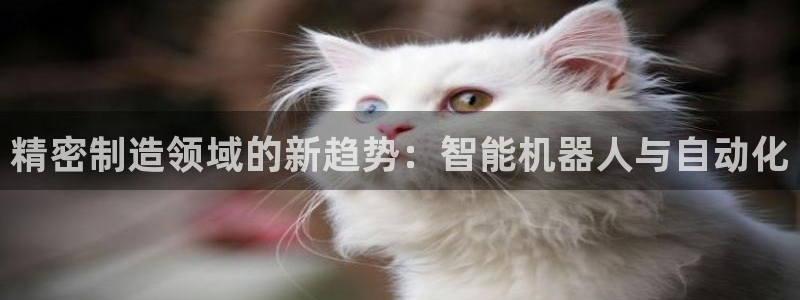 彩神v8首页：精密制造领域的新趋势：智能机器人与自动化