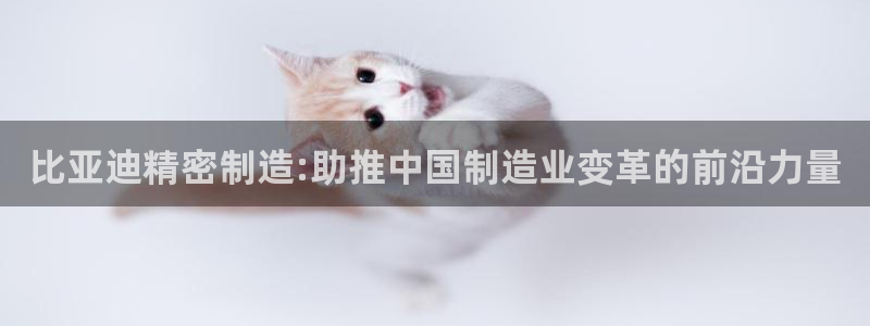 彩神8官网500：比亚迪精密制造:助推中国制造业变革的前沿力量