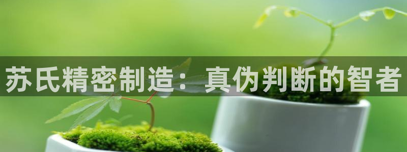 彩神网可以赚钱是真的吗：苏氏精密制造：真伪判断的智者