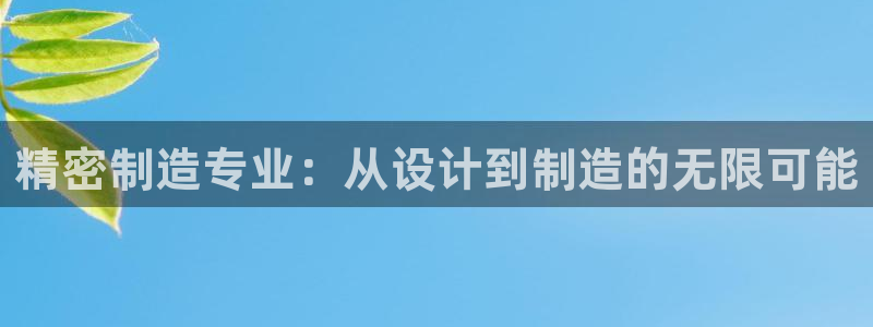 彩神iv能赚钱吗：精密制造专业：从设计到制造的无限可能