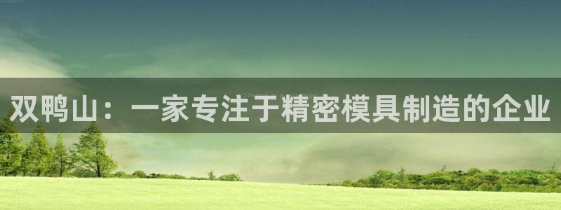 彩神8彩平台官网：双鸭山：一家专注于精密模具制造的企业