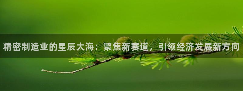 彩神ios下载：精密制造业的星辰大海：聚焦新赛道，引领经济发展新方向