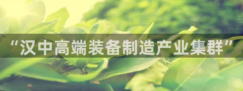 彩神vip官方网站：“汉中高端装备制造产业集群”