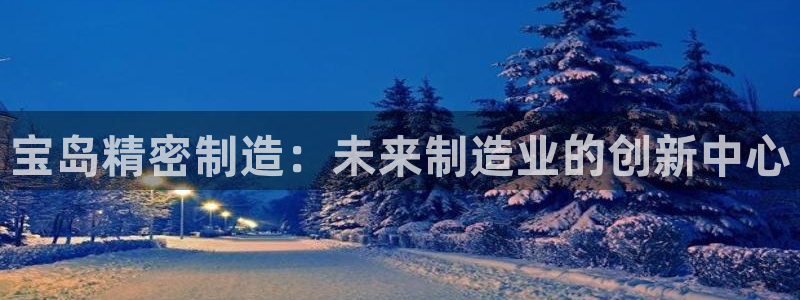 彩神盈利图片：宝岛精密制造：未来制造业的创新中心