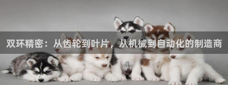 彩神旗下有哪些平台可以看：双环精密：从齿轮到叶片，从机械到自动化的制造商