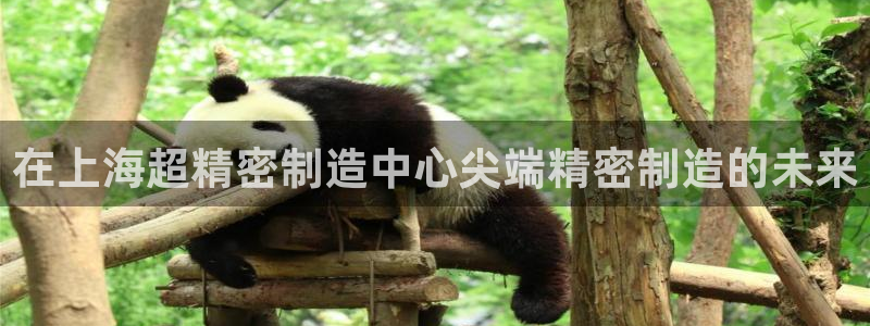 彩神是什么平台的游戏：在上海超精密制造中心尖端精密制造的未来