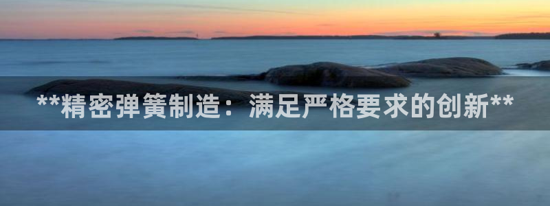 彩神购彩购彩大厅入口v：**精密弹簧制造：满足严格要求的创新**