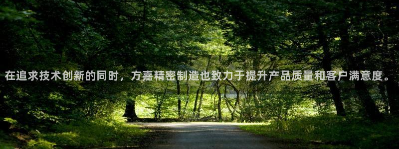 彩神新微聊：在追求技术创新的同时，方嘉精密制造也致力于提升产品质量和客户满意度。