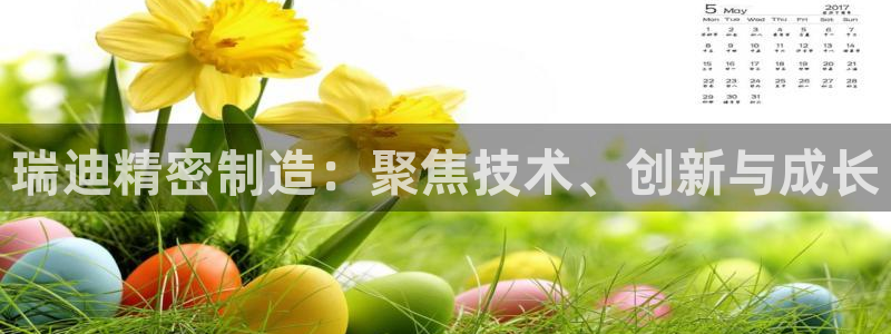 彩神v8是一个什么平台游戏：瑞迪精密制造：聚焦技术、创新与成长