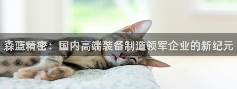 彩神新微聊：森蓝精密：国内高端装备制造领军企业的新纪元