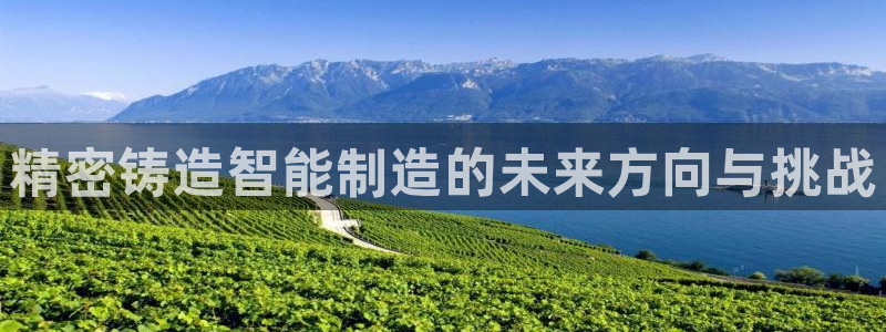 彩神vip购彩大厅下载：精密铸造智能制造的未来方向与挑战