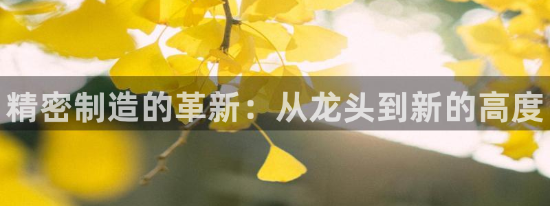 彩神v8手机客户端下载：精密制造的革新：从龙头到新的高度