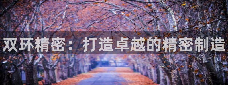 彩神iv真的能赚钱吗：双环精密：打造卓越的精密制造