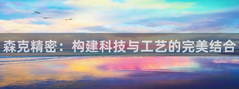 彩神购彩购彩大厅入口v：森克精密：构建科技与工艺的完美结合