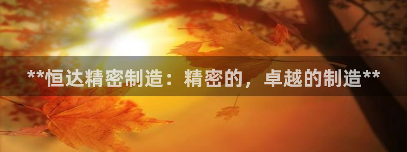 彩神V集团有限公司：**恒达精密制造：精密的，卓越的制造**