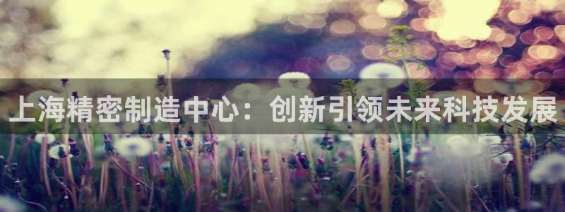 彩神数码科技有限公司：上海精密制造中心：创新引领未来科技发展