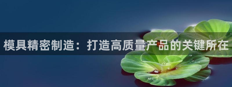 彩神赢的钱是哪里来的啊：模具精密制造：打造高质量产品的关键所在