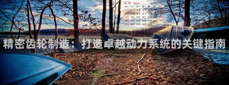 彩神广告有限公司：精密齿轮制造：打造卓越动力系统的关键指南