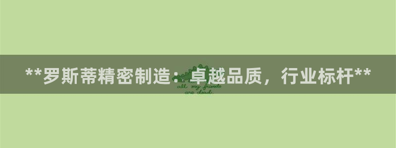 彩神争霸官网登录平台：**罗斯蒂精密制造：卓越品质，行业标杆**