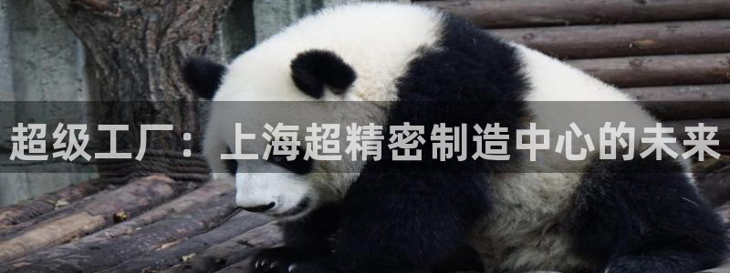彩神网官网登录：超级工厂：上海超精密制造中心的未来
