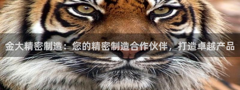 彩神vlll官网网上