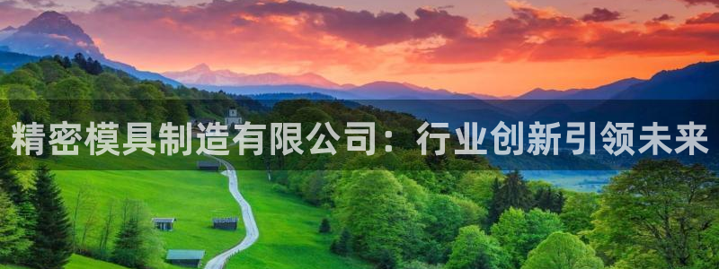 彩神v秘聊号码：精密模具制造有限公司：行业创新引领未来